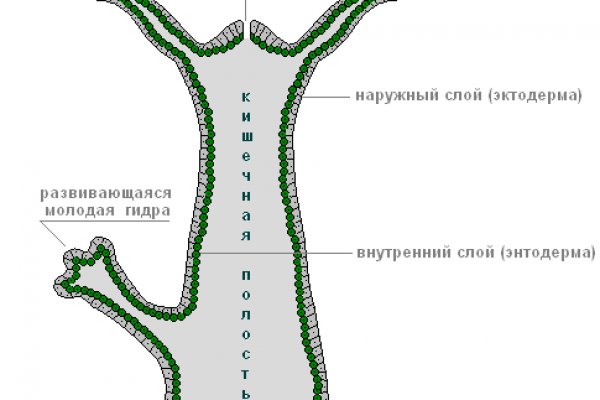 Через какой браузер зайти на кракен